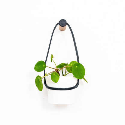 Small Peg Wall Planter with White Pot