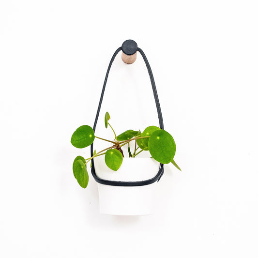 Small Peg Wall Planter with White Pot
