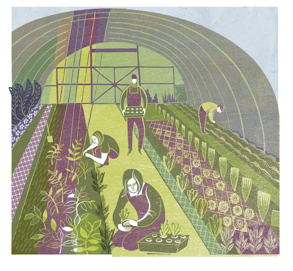 Polytunnel Gardens Print
