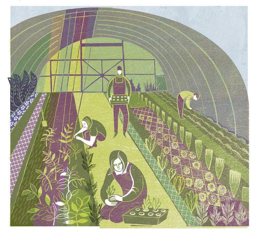 Polytunnel Gardens Print