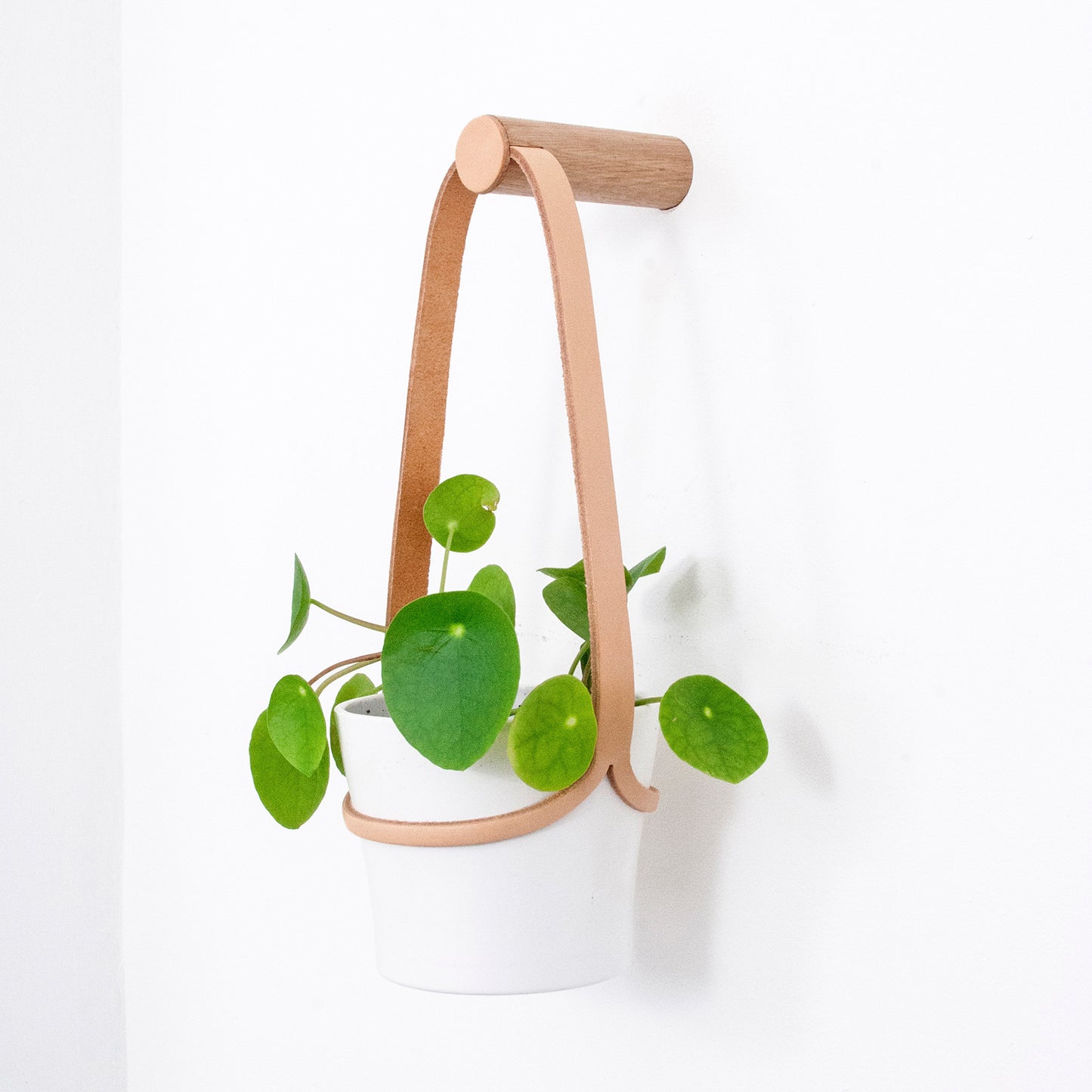 Small Peg Wall Planter with White Pot