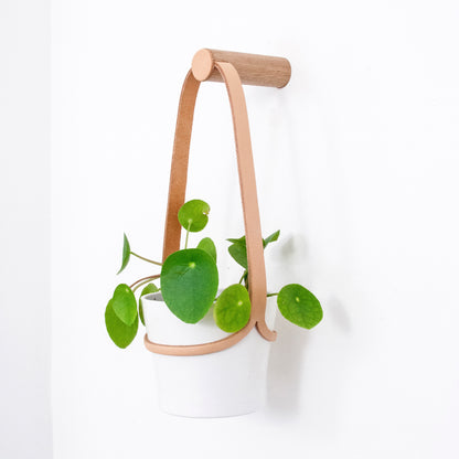 Small Peg Wall Planter with White Pot