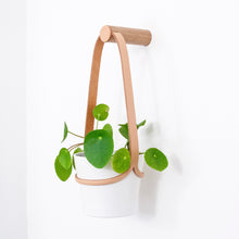 Load image into Gallery viewer, Small Plant Wall Hanger