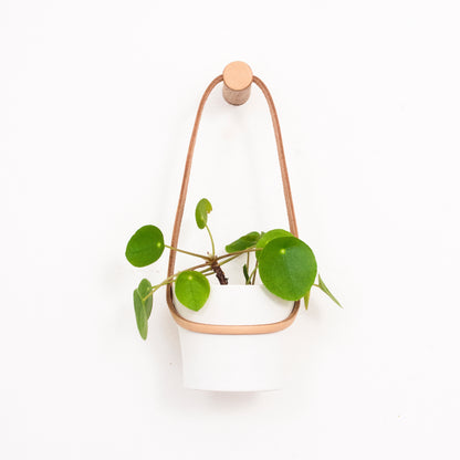 Small Peg Wall Planter with White Pot