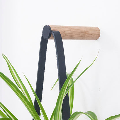 Medium Plant Wall Hanger with White Pot