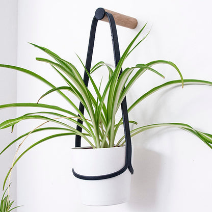 Medium Plant Wall Hanger with White Pot