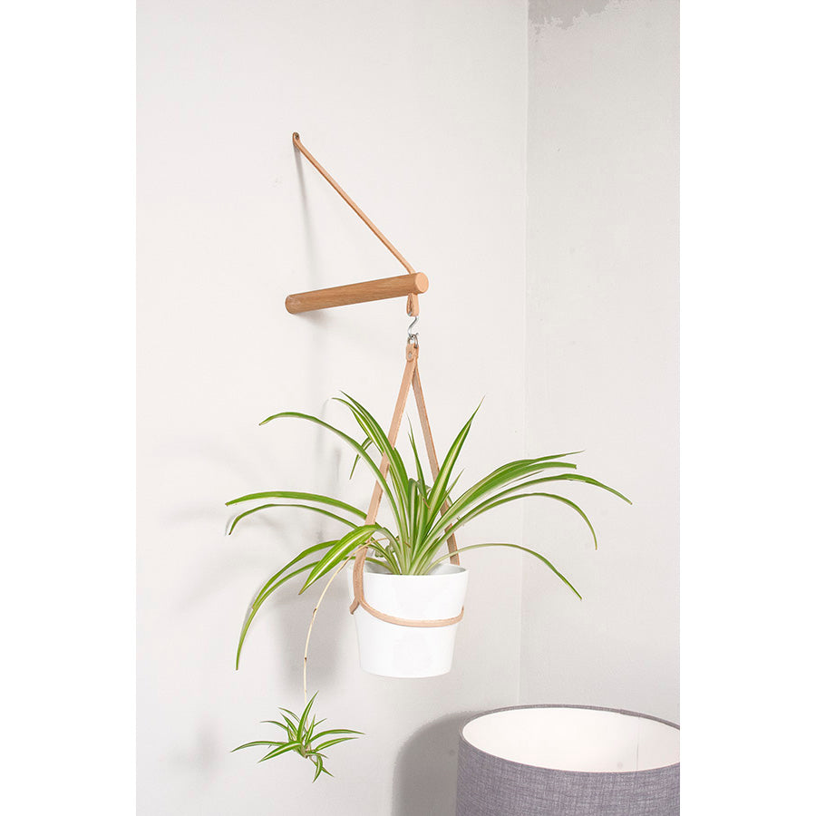 Peg Plant Hanger and Pot Holder