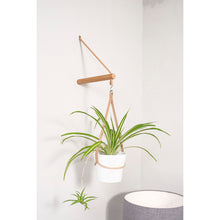 Load image into Gallery viewer, Peg Plant Hanger and Pot Holder