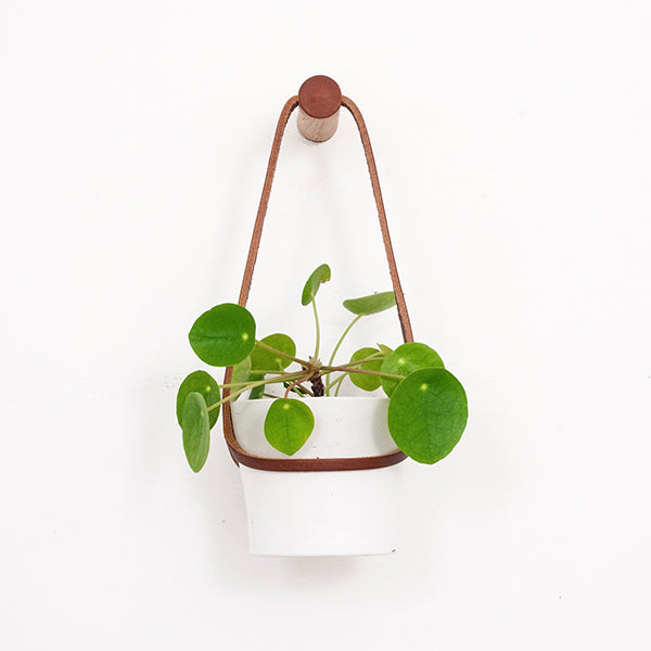 Small Peg Wall Planter with White Pot