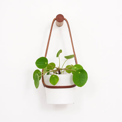 Small Peg Wall Planter with White Pot