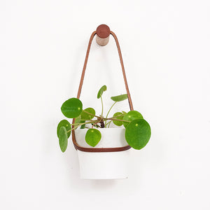Small Plant Wall Hanger