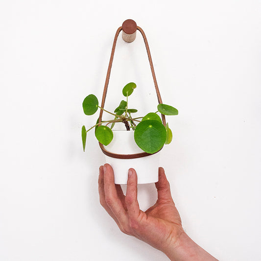 Small Peg Wall Planter with White Pot